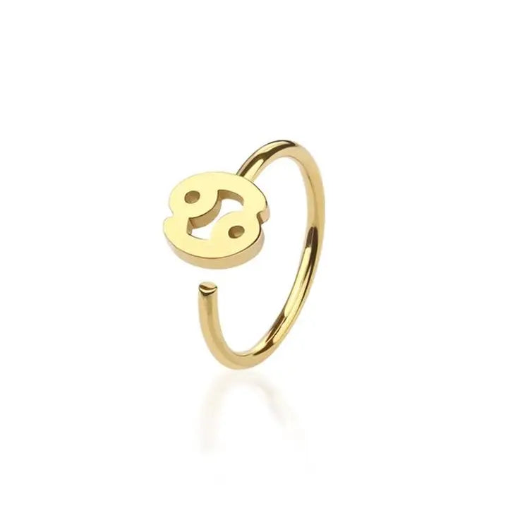 Zodiac Symbol Nose Hoop Ring